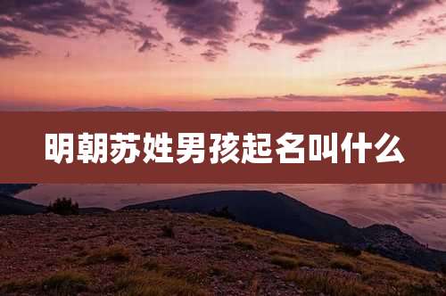 明朝苏姓男孩起名叫什么