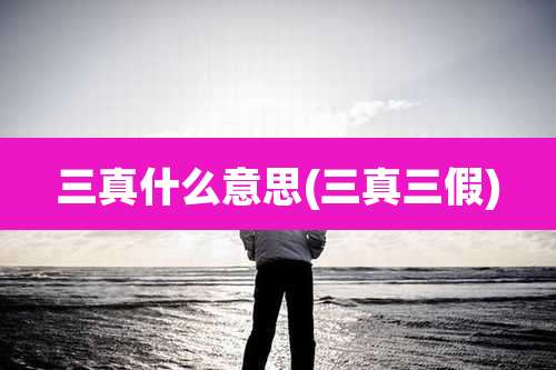 三真什么意思(三真三假)