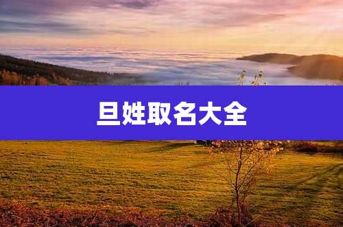 旦姓取名大全