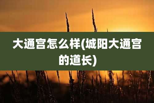 大通宫怎么样(城阳大通宫的道长)