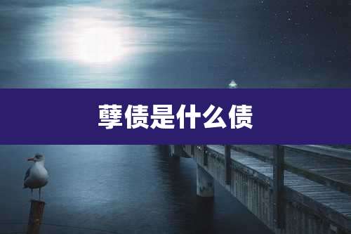 孽债是什么债