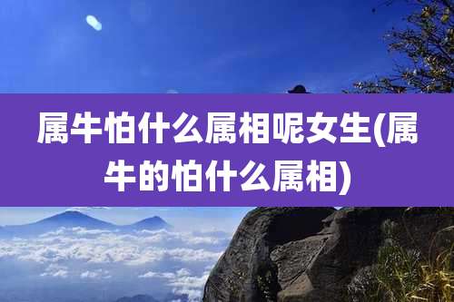 属牛怕什么属相呢女生(属牛的怕什么属相)