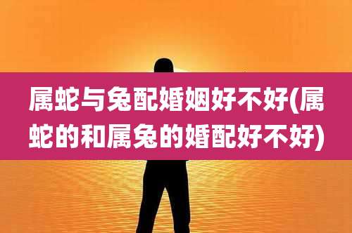 属蛇与兔配婚姻好不好(属蛇的和属兔的婚配好不好)