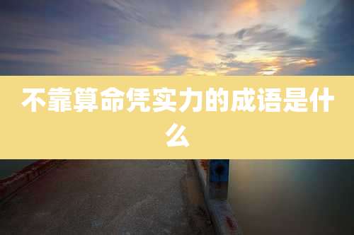 不靠算命凭实力的成语是什么