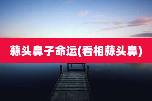 蒜头鼻子命运(看相蒜头鼻)