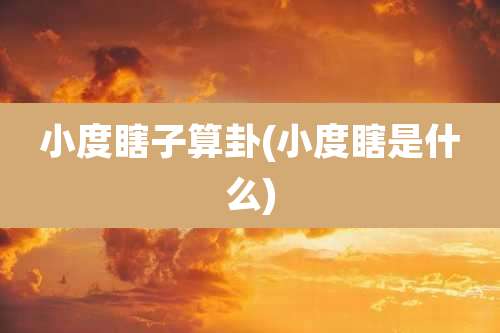 小度瞎子算卦(小度瞎是什么)