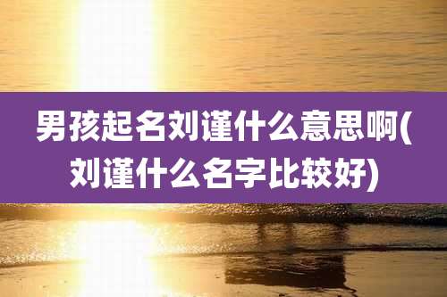 男孩起名刘谨什么意思啊(刘谨什么名字比较好)