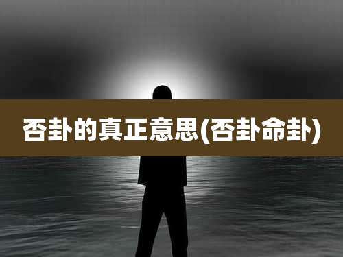 否卦的真正意思(否卦命卦)