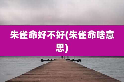 朱雀命好不好(朱雀命啥意思)