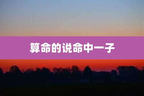 算命的说命中一子