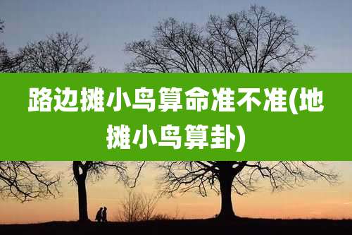 路边摊小鸟算命准不准(地摊小鸟算卦)