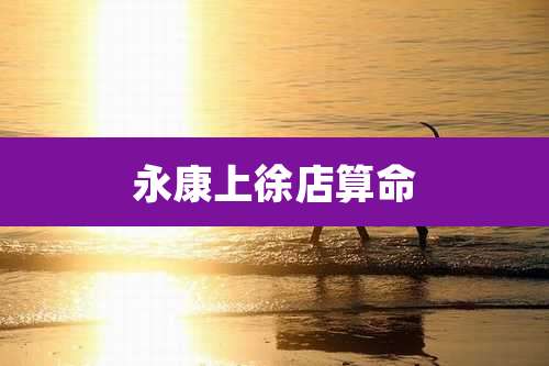 永康上徐店算命