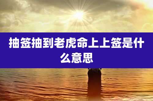 抽签抽到老虎命上上签是什么意思