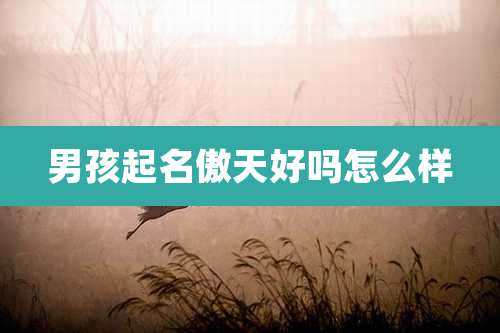 男孩起名傲天好吗怎么样