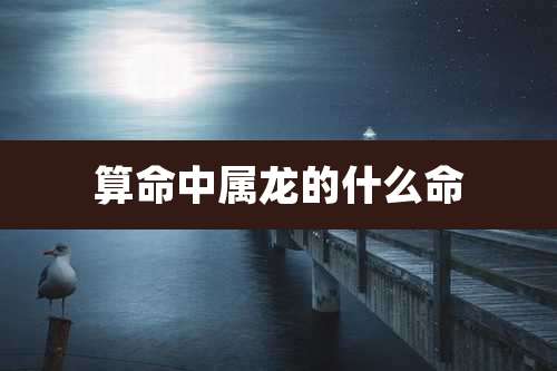 算命中属龙的什么命