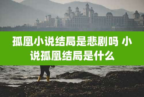 孤凰小说结局是悲剧吗 小说孤凰结局是什么