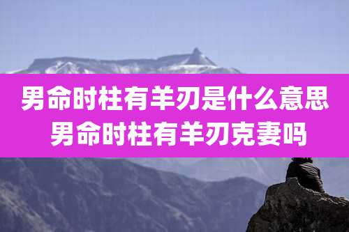 男命时柱有羊刃是什么意思 男命时柱有羊刃克妻吗