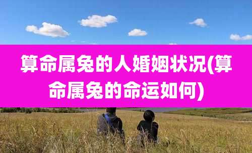 算命属兔的人婚姻状况(算命属兔的命运如何)