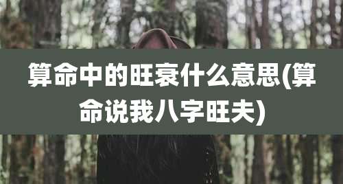 算命中的旺衰什么意思(算命说我八字旺夫)