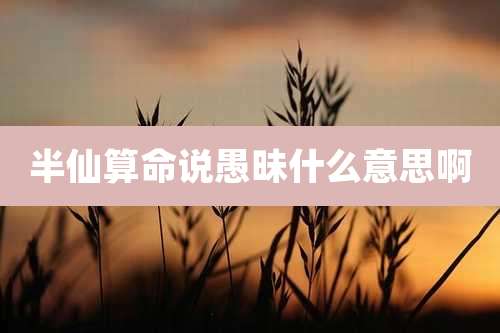 半仙算命说愚昧什么意思啊