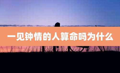一见钟情的人算命吗为什么