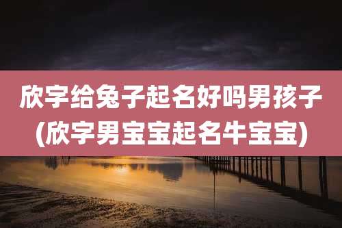 欣字给兔子起名好吗男孩子(欣字男宝宝起名牛宝宝)