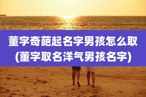 董字奇葩起名字男孩怎么取(董字取名洋气男孩名字)