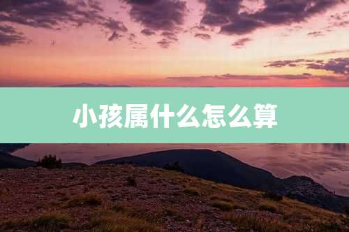 小孩属什么怎么算