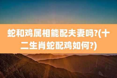 蛇和鸡属相能配夫妻吗?(十二生肖蛇配鸡如何?)