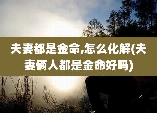 夫妻都是金命,怎么化解(夫妻俩人都是金命好吗)