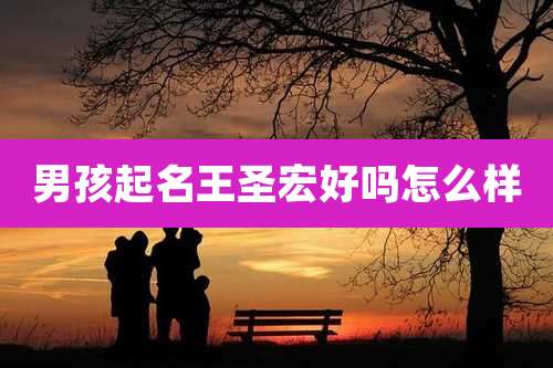 男孩起名王圣宏好吗怎么样