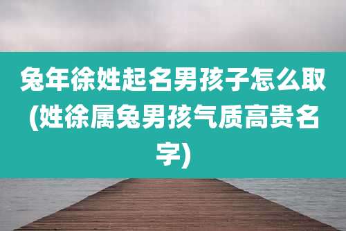 兔年徐姓起名男孩子怎么取(姓徐属兔男孩气质高贵名字)