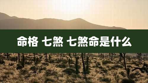 命格 七煞 七煞命是什么