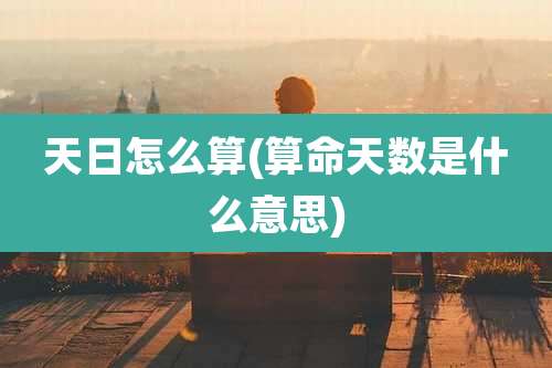 天日怎么算(算命天数是什么意思)