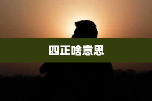 四正啥意思