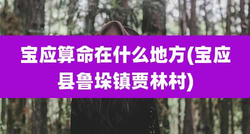 宝应算命在什么地方(宝应县鲁垛镇贾林村)