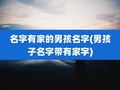 名字有家的男孩名字(男孩子名字带有家字)