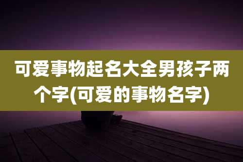 可爱事物起名大全男孩子两个字(可爱的事物名字)