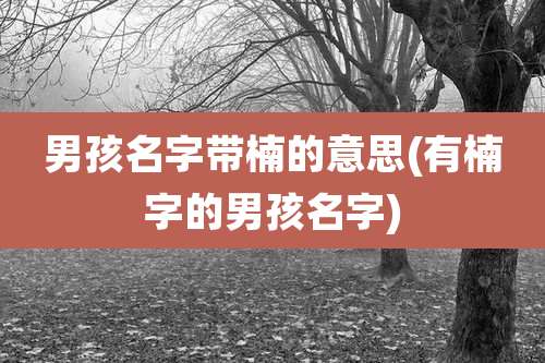 男孩名字带楠的意思(有楠字的男孩名字)