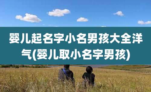 婴儿起名字小名男孩大全洋气(婴儿取小名字男孩)