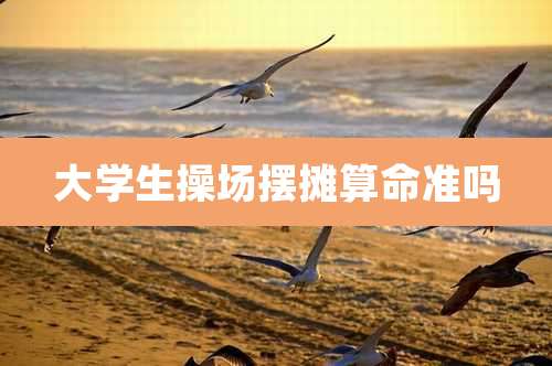 大学生操场摆摊算命准吗