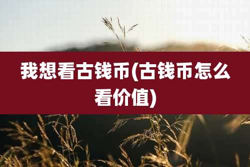 我想看古钱币(古钱币怎么看价值)