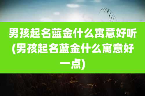 男孩起名蓝金什么寓意好听(男孩起名蓝金什么寓意好一点)