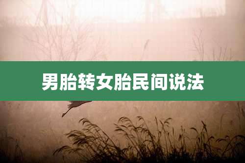 男胎转女胎民间说法