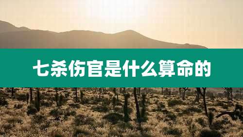 七杀伤官是什么算命的