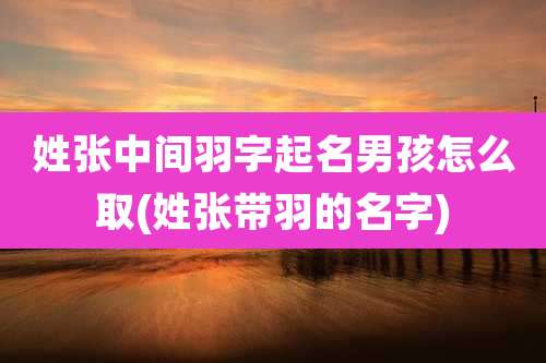 姓张中间羽字起名男孩怎么取(姓张带羽的名字)