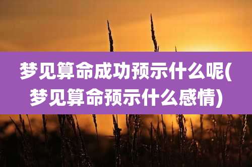 梦见算命成功预示什么呢(梦见算命预示什么感情)