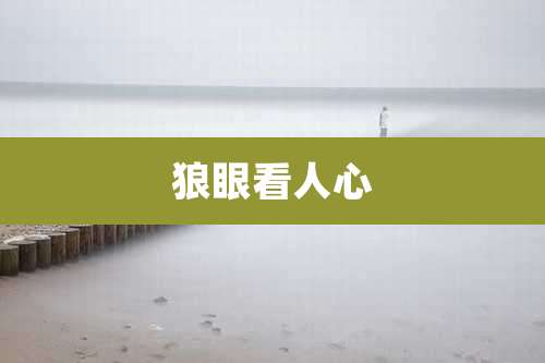 狼眼看人心