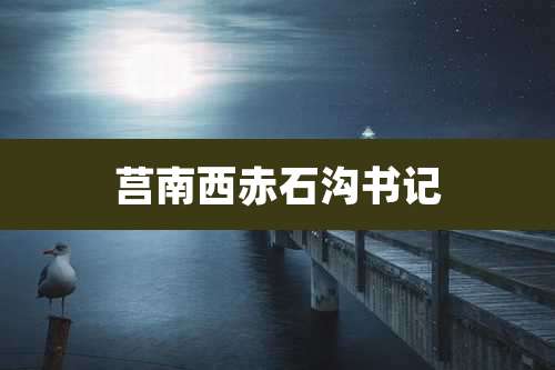 莒南西赤石沟书记