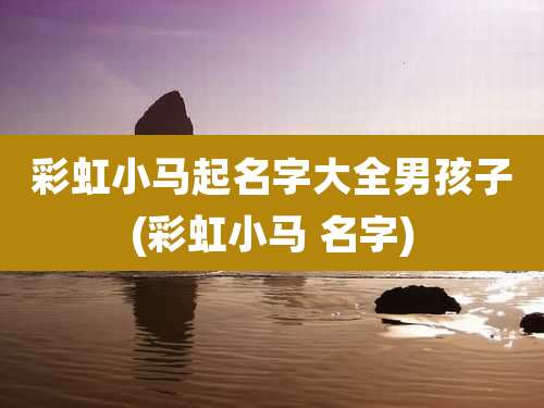 彩虹小马起名字大全男孩子(彩虹小马 名字)